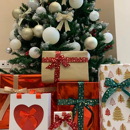 Ridi's Comfort Apartment Shkoder