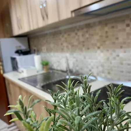 Διαμέρισμα Ridi's Comfort