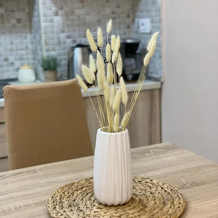 Διαμέρισμα Ridi's Comfort