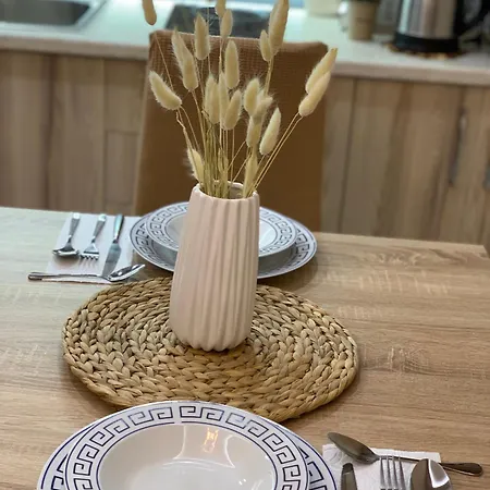 Διαμέρισμα Ridi's Comfort