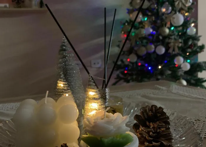 Ridi's Comfort Shkoder