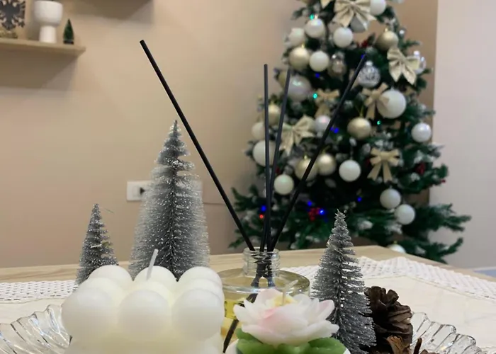 Ridi's Comfort * Shkoder