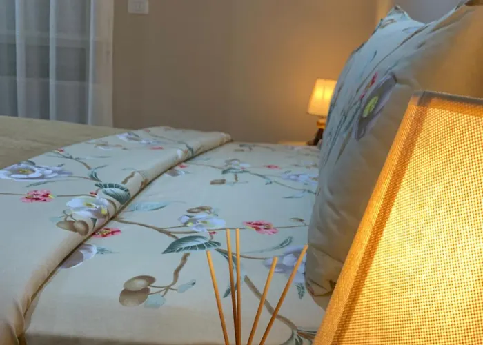 Ridi's Comfort Apartment