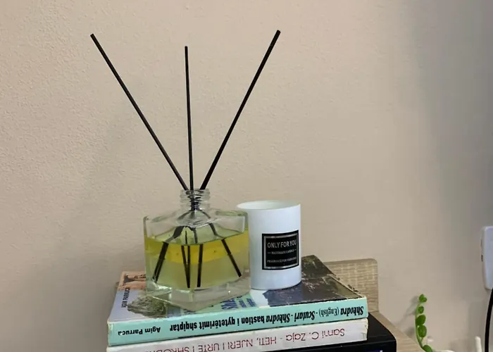 Ridi's Comfort Shkoder