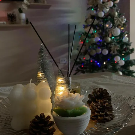 Ridi's Comfort Shkodër