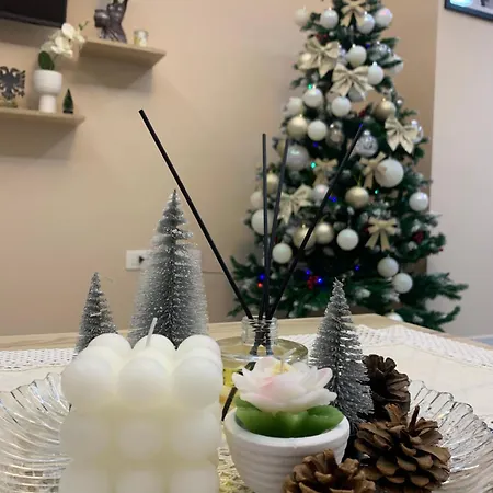 Ridi's Comfort * Shkodër