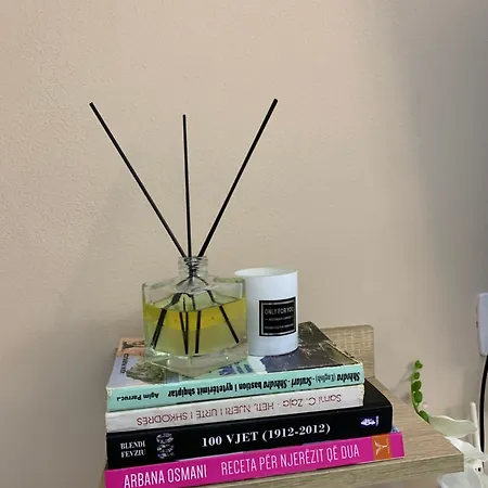 Ridi's Comfort Shkodër