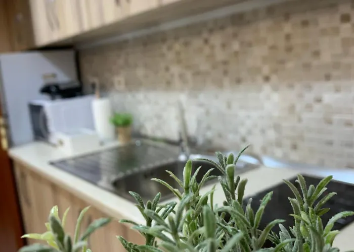 公寓 Ridi's Comfort